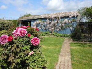 garden of house for sale in france