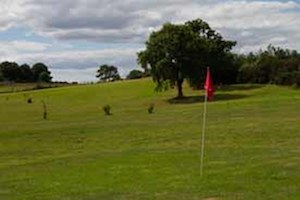 Golf course in garden