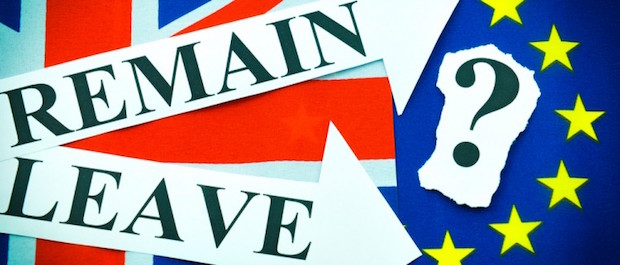 EU Referendum blogs