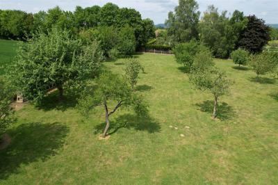 02 33 39 71 30 | Argentan@immobilier-nps.com |