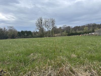 02 33 39 71 30 | Argentan@immobilier-nps.com |