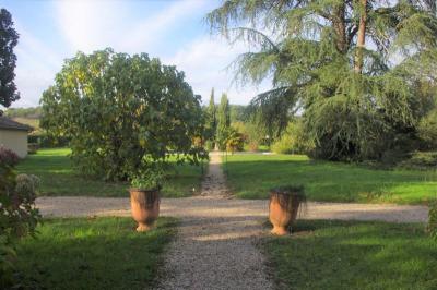 12 Bedrooms - Chateau - Aquitaine - For Sale - 8417-ey