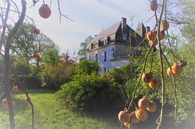 12 Bedrooms - Chateau - Aquitaine - For Sale - 8417-ey