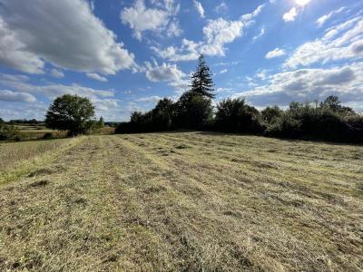Terrain En Zone Constructible A Ste Sabine De Born