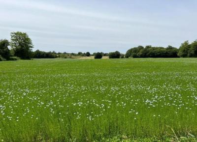 &#8364;349950 - Gorgeous Farmhouse With Beautiful Living Space And Walled Garden