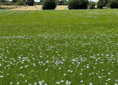 &#8364;349950 - Gorgeous Farmhouse With Beautiful Living Space And Walled Garden