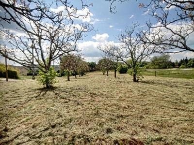 - Land - Aquitaine - For Sale - 10067t