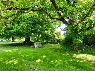 5 Bedrooms - House - Aquitaine - For Sale - 11864-ey