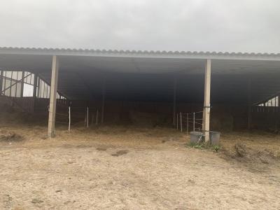 - Equestrian Property - Aquitaine - For Sale - 10564-ey