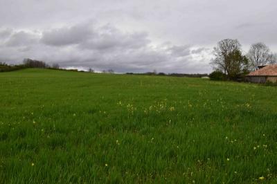 - Land - Aquitaine - For Sale - 10623-is