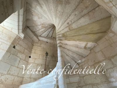 12 Bedrooms - Chateau - Aquitaine - For Sale - 11369-bgc