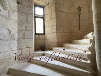 12 Bedrooms - Chateau - Aquitaine - For Sale - 11369-bgc