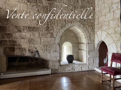12 Bedrooms - Chateau - Aquitaine - For Sale - 11369-bgc