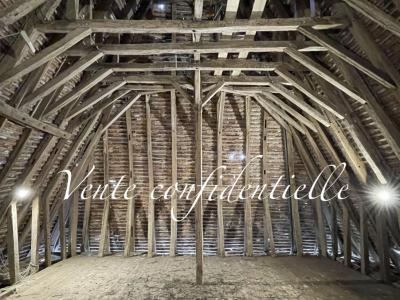12 Bedrooms - Chateau - Aquitaine - For Sale - 11369-bgc
