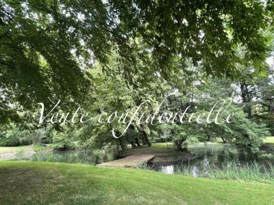 12 Bedrooms - Chateau - Aquitaine - For Sale - 11369-bgc
