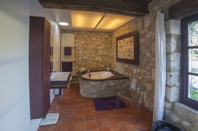 7 Bedrooms - House - Aquitaine - For Sale - 11309-vi
