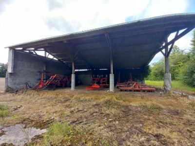 - Land - Aquitaine - For Sale - 11337-vi