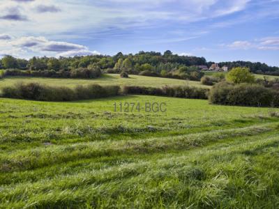 Domaine De Charme Au Cœur De 10 Hectares