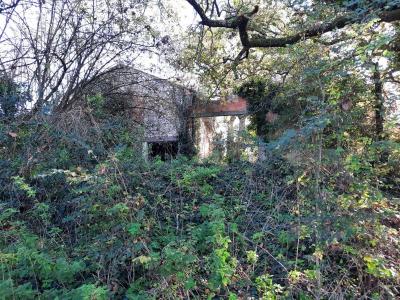 - Building - Aquitaine - For Sale - 11528-ey