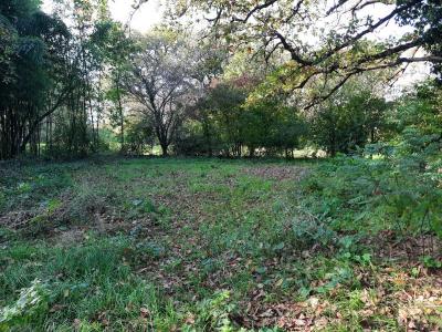 - Building - Aquitaine - For Sale - 11528-ey