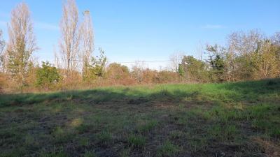- Building - Aquitaine - For Sale - 11528-ey