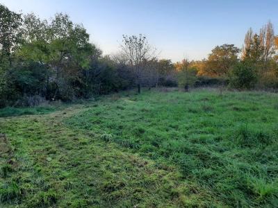 - Building - Aquitaine - For Sale - 11528-ey