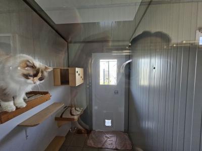 Entreprise De Pension Animale, Avec Belle Propriete En Pierre Renovee Avec Dependances Et Piscine.