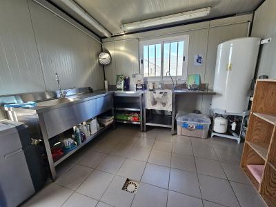 Entreprise De Pension Animale, Avec Belle Propriete En Pierre Renovee Avec Dependances Et Piscine.