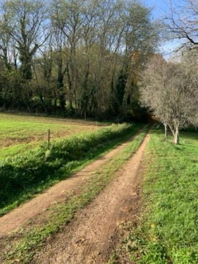 5 Bedrooms - House - Aquitaine - For Sale - 11950-la