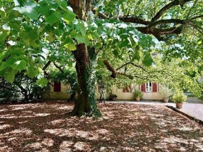 7 Bedrooms - Property - Aquitaine - For Sale - 11938-bgc