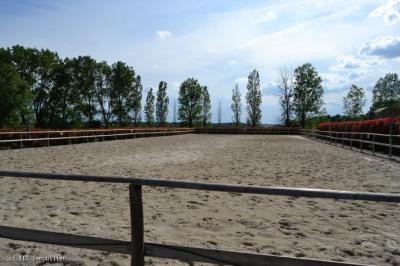 &#8364;590100 - Beautiful Equestrian Property On 18 Hectares Adjoining