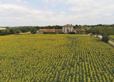 &#8364;444950 - Glorious 19th Century Manor House On Over 2.5 Acres