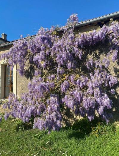 &#8364;444950 - Glorious 19th Century Manor House On Over 2.5 Acres