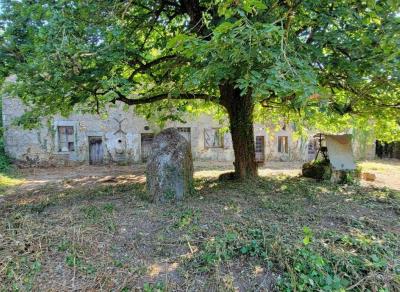 &#8364;75000 - Old Small Manor House To Renovate