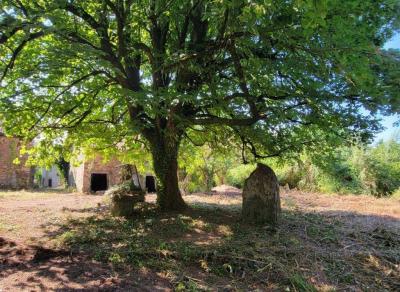 &#8364;75000 - Old Small Manor House To Renovate