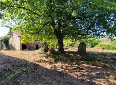 &#8364;75000 - Old Small Manor House To Renovate