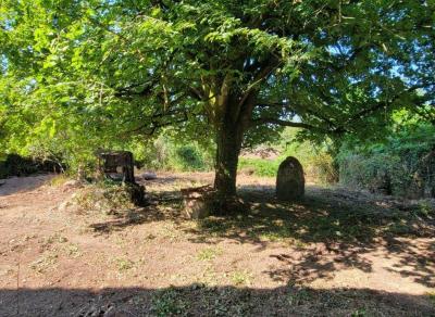 &#8364;75000 - Old Small Manor House To Renovate