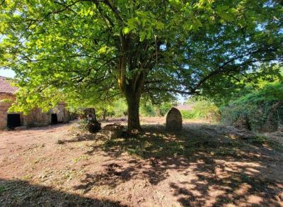 &#8364;75000 - Old Small Manor House To Renovate