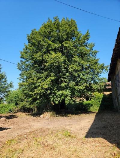 &#8364;75000 - Old Small Manor House To Renovate