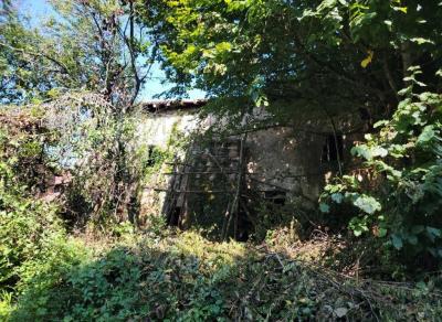 &#8364;75000 - Old Small Manor House To Renovate