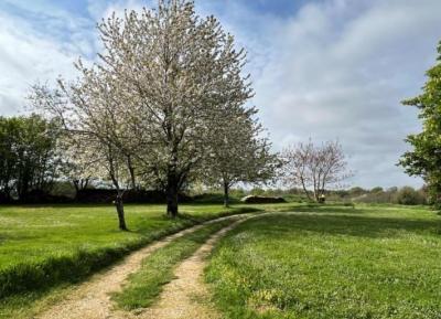 &#8364;161300 - Beautiful Old House With Nice Garden