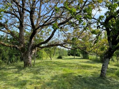 &#8364;65000 - Pretty 3 Bedroom House With Beautiful Garden - Near Nanteuil-en-vallee