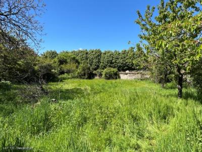 &#8364;24000 - Barn With Orchard Clos In Sauze-vaussais