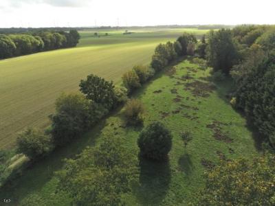 &#8364;234000 - Beautiful Stone House Near Civray With Outbuildings And Large Garden