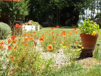 &#8364;368400 - No Close Neighbours ! Beautiful Old Stone House With 2 Gites, Near Verteuil-sur-char