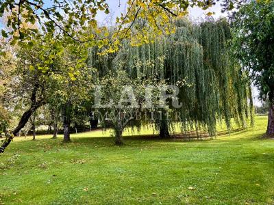 Authentique Moulin Du 17e-18e, Sur 3 Hectares, A Vendre Aux Portes D\'alencon