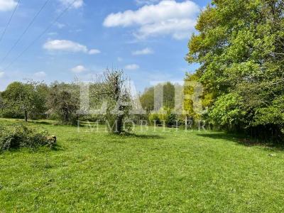 Authentique Moulin Du 17e-18e, Sur 3 Hectares, A Vendre Aux Portes D\'alencon