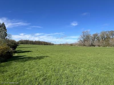 &#8364;297850 - Farmhouse With 4 Bedrooms, Outbuildings, 3 Acres And Swimming Pool