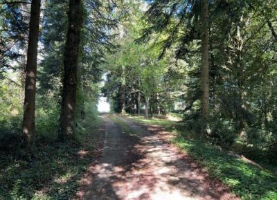 &#8364;550000 - Renovated Manor House And Renovated Barn With Swimming Pool On Over 3 Hectares Of La