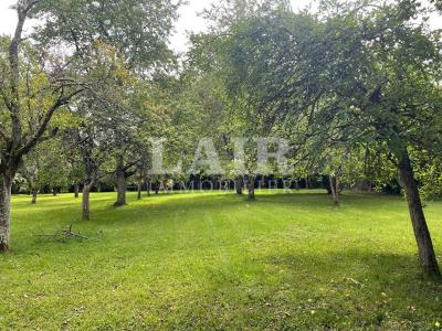 Maison A Vendre Secteur Belleme